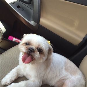 Meet your Posher, Blanca